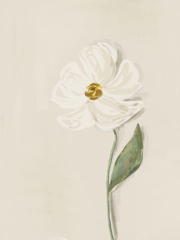 White Flower 1 White Modern Wood Framed Art Print with Double Matting by Straatsma, Leah