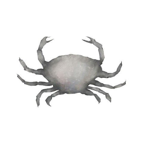 Grey Crab Black Modern Wood Framed Art Print with Double Matting by Straatsma, Leah