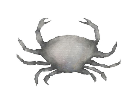 Grey Crab White Modern Wood Framed Art Print with Double Matting by Straatsma, Leah