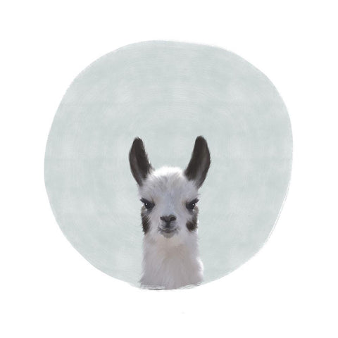 Baby Circle Llama Gray White Modern Wood Framed Art Print with Double Matting by Straatsma, Leah