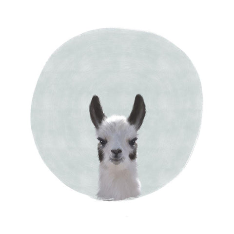 Baby Circle Llama Gray White Modern Wood Framed Art Print by Straatsma, Leah