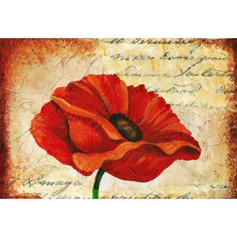 Poppy Script Black Modern Wood Framed Art Print by Budd, Tiffany