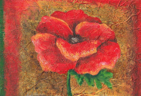 Red Poppy White Modern Wood Framed Art Print with Double Matting by Budd, Tiffany