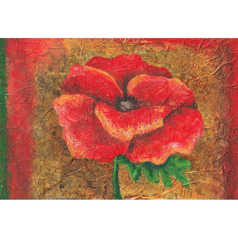 Red Poppy Black Modern Wood Framed Art Print with Double Matting by Budd, Tiffany
