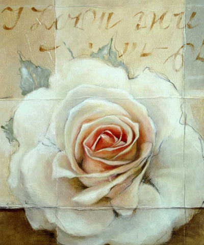 Frosted Rose 2 White Modern Wood Framed Art Print with Double Matting by May