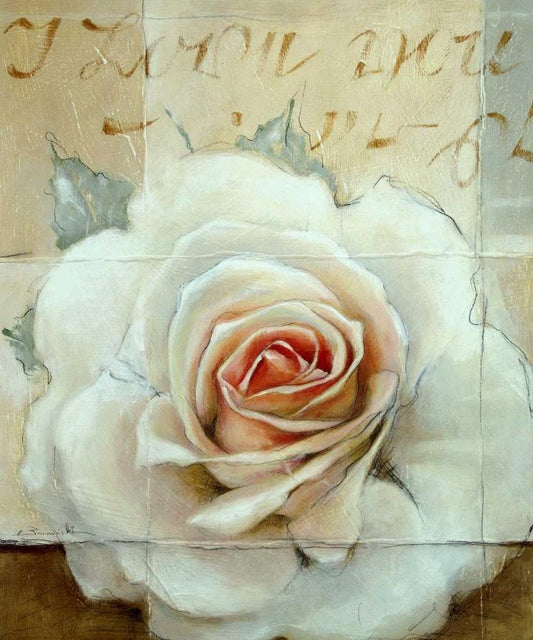 Image Only