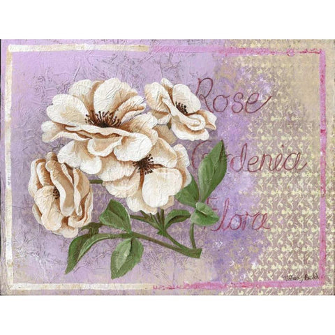 Gardenia White Modern Wood Framed Art Print by Budd, Tiffany