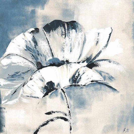 Image Only