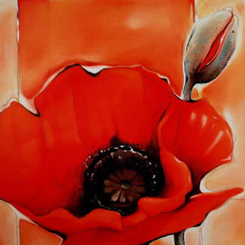 Crimson Poppy 1 White Modern Wood Framed Art Print with Double Matting by May