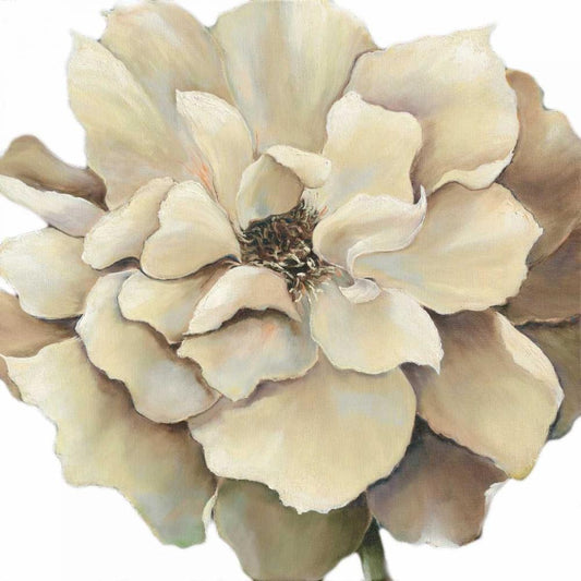 Image Only