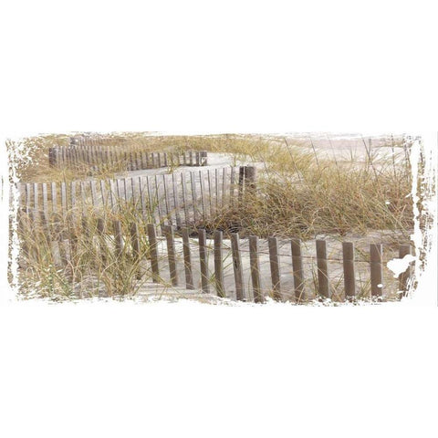 Coastal Photography 1 Black Modern Wood Framed Art Print with Double Matting by Hogan, Melody
