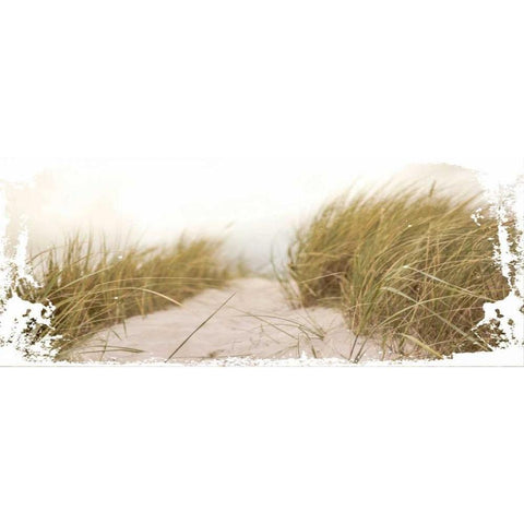 Coastal Photography 2 White Modern Wood Framed Art Print by Hogan, Melody