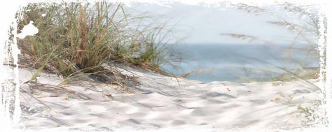 Coastal Photography 4 White Modern Wood Framed Art Print with Double Matting by Hogan, Melody