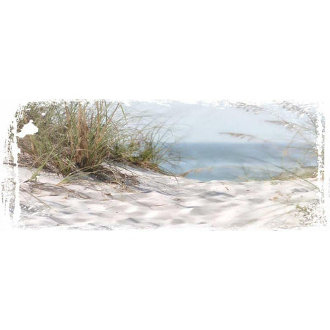 Coastal Photography 4 Black Modern Wood Framed Art Print by Hogan, Melody