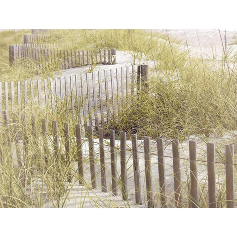 Coastal Photograpy Textured Black Modern Wood Framed Art Print by Hogan, Melody