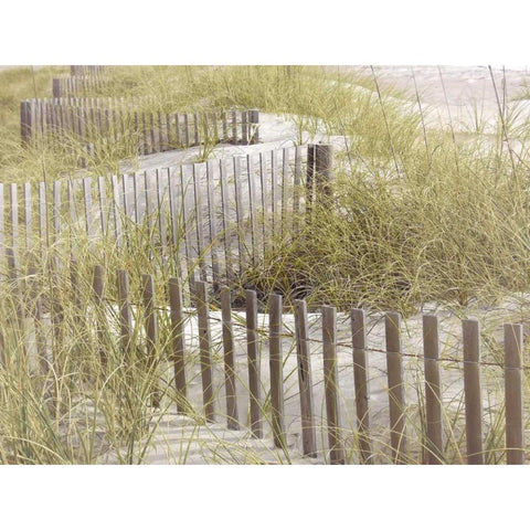 Coastal Photograpy Untextured Black Modern Wood Framed Art Print with Double Matting by Hogan, Melody