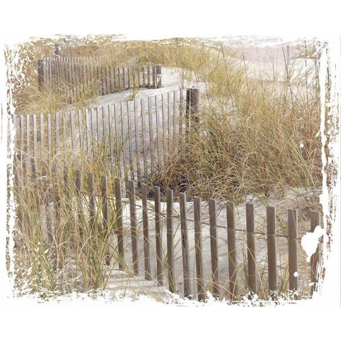 Coastal Photography 1 Black Modern Wood Framed Art Print by Hogan, Melody