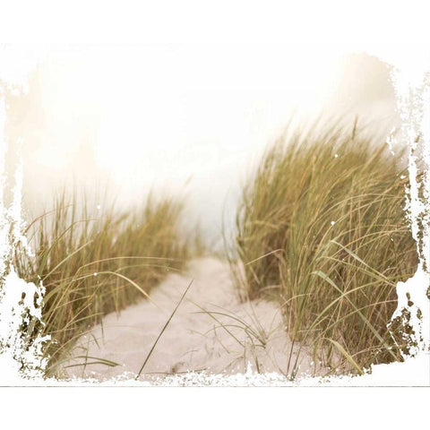 Coastal Photography 2 Black Modern Wood Framed Art Print by Hogan, Melody