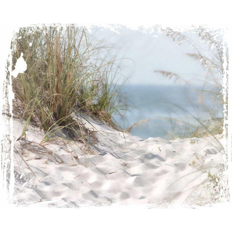 PrintCoastal Photography 4 Black Modern Wood Framed Art Print with Double Matting by Hogan, Melody