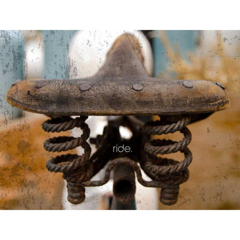 Saddle Up Gold Ornate Wood Framed Art Print with Double Matting by Hogan, Melody