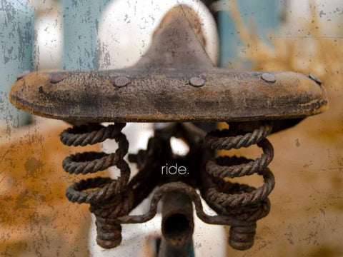 Saddle Up Black Ornate Wood Framed Art Print with Double Matting by Hogan, Melody