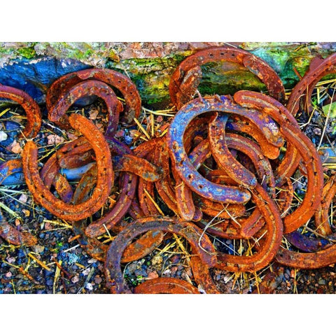 Bright Horse Shoes Black Modern Wood Framed Art Print with Double Matting by Hogan, Melody