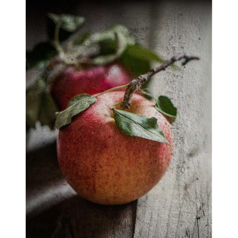 Apple Duo Black Modern Wood Framed Art Print with Double Matting by Hogan, Melody