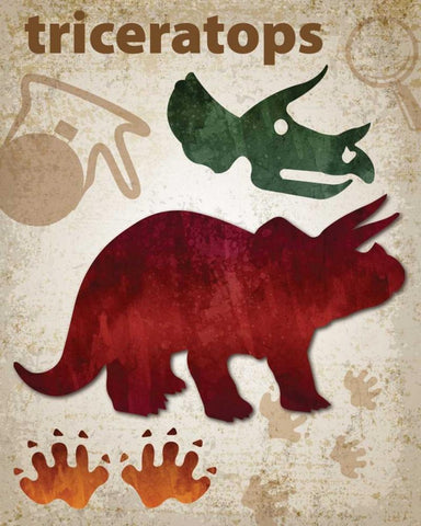 Triceratops Dinosaur White Modern Wood Framed Art Print with Double Matting by Hogan, Melody