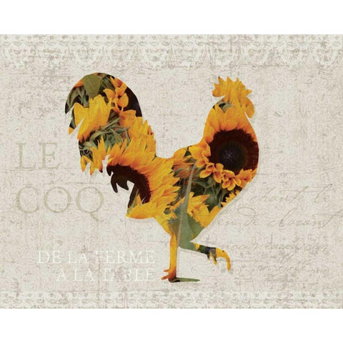 Flower Farm Roster White Modern Wood Framed Art Print by Hogan, Melody