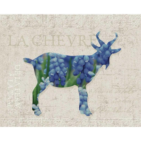 Flower Farm Goat Black Modern Wood Framed Art Print with Double Matting by Hogan, Melody