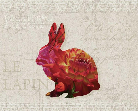 Flower Farm Rabbit White Modern Wood Framed Art Print with Double Matting by Hogan, Melody