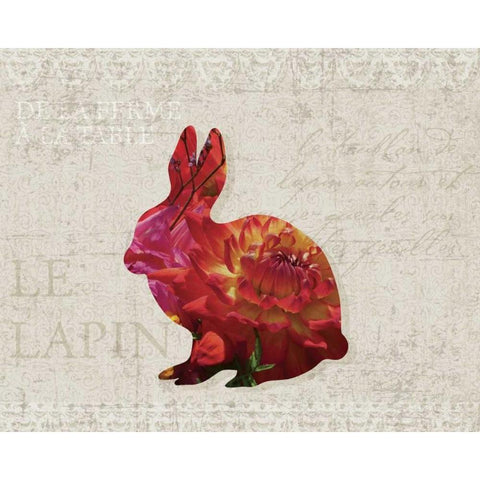 Flower Farm Rabbit Black Modern Wood Framed Art Print by Hogan, Melody