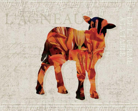 Flower Farm Lamb White Modern Wood Framed Art Print with Double Matting by Hogan, Melody