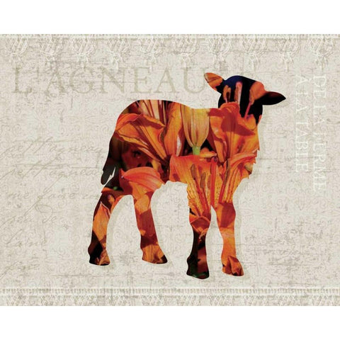 Flower Farm Lamb Black Modern Wood Framed Art Print by Hogan, Melody
