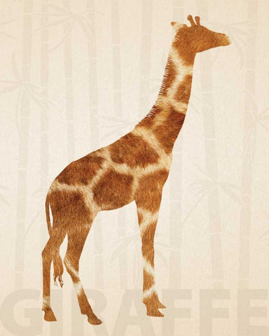 Safari Skins 1 White Modern Wood Framed Art Print with Double Matting by Hogan, Melody