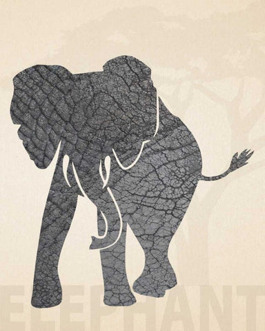 Safari Skins 2 Black Ornate Wood Framed Art Print with Double Matting by Hogan, Melody