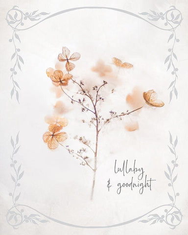 Baby Floral 3 White Modern Wood Framed Art Print with Double Matting by Hogan, Melody