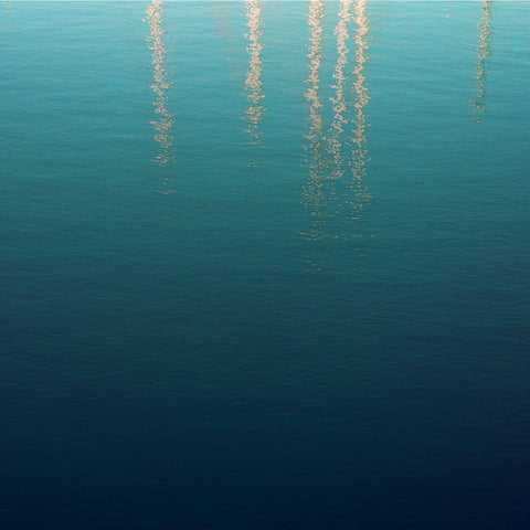 By the Sea 2 Black Ornate Wood Framed Art Print with Double Matting by Hogan, Melody