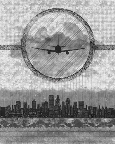 Skyline Airline 1 Black Ornate Wood Framed Art Print with Double Matting by Hogan, Melody