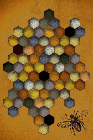 Honeycomb Bee White Modern Wood Framed Art Print with Double Matting by Hogan, Melody