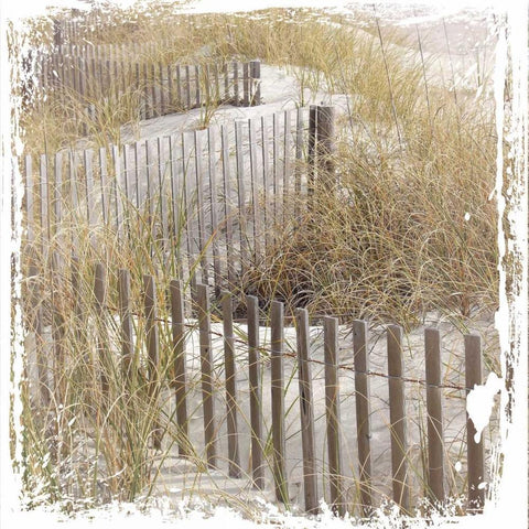 Fence By The Beach Gold Ornate Wood Framed Art Print with Double Matting by Hogan, Melody