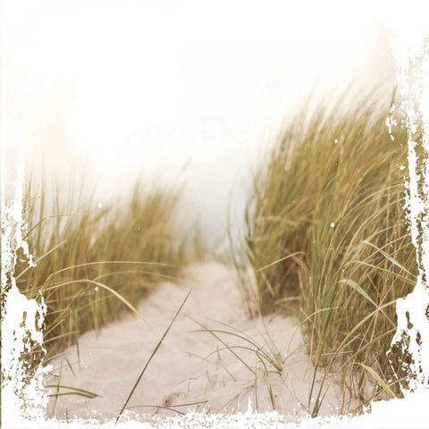 Beach Entry White Modern Wood Framed Art Print with Double Matting by Hogan, Melody