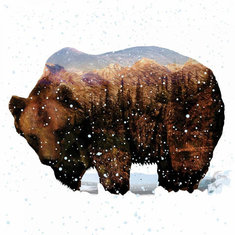 Grizzly Winter White Modern Wood Framed Art Print by Hogan, Melody