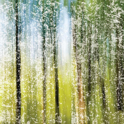 Distressed Forest White Modern Wood Framed Art Print by Hogan, Melody