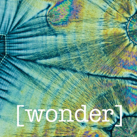 Wondering Coconuts Black Modern Wood Framed Art Print with Double Matting by Hogan, Melody