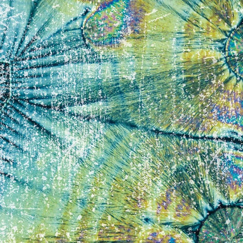 Distressed Coconuts Black Modern Wood Framed Art Print by Hogan, Melody