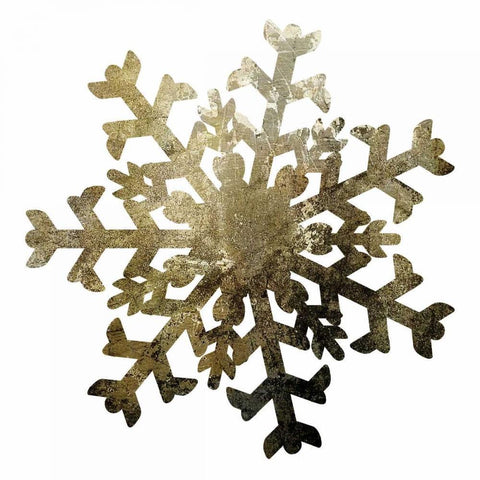 Glimmer Snowflakes 2 Black Ornate Wood Framed Art Print with Double Matting by Hogan, Melody