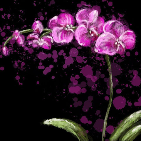 Fuschia Orchid White Modern Wood Framed Art Print with Double Matting by Hogan, Rachel