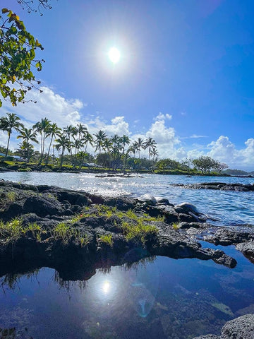 Early Time Travelers Black Modern Wood Framed Art Print by Nebula, Melissa