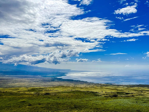 Kohala Coastline Black Modern Wood Framed Art Print by Nebula, Melissa